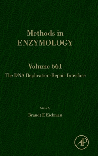 The DNA Replication-Repair Interface