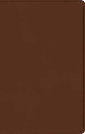 ESV Large Print Value Thinline Bible