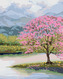 Malování podle čísel - ROZKVETLÁ SAKURA U VODY - 80x100 cm, bez rámu a bez vypnutí plátna