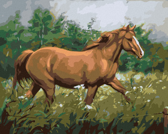 Malování podle čísel - HNĚDÝ KŮŇ NA PASTVĚ U LESA - 40x50 cm, vypnuté plátno na rám