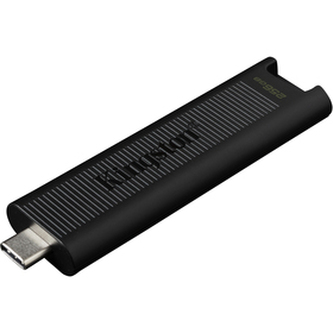 Flash disk KINGSTON DTMAX/256GB