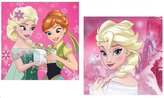 POVLAK NA POLŠTÁŘ FROZEN