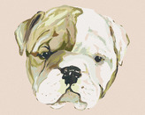 Malování podle čísel - ŠTĚNÁTKO BULLDOGA (HALEY BUSH) - 80x100 cm, vypnuté plátno na rám