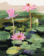 Malování podle čísel - TŘI RŮŽOVÉ LEKNÍNY NA JEZEŘE - 40x50 cm, bez rámu a bez vypnutí plátna