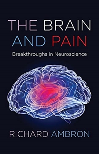 The Brain and Pain