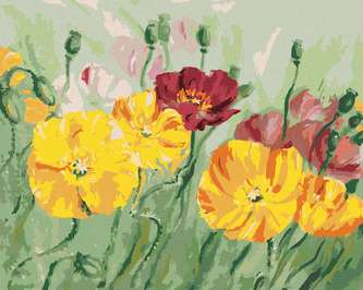 Malování podle čísel - BAREVNÝ VLČÍ MÁK - 80x100 cm, bez rámu a bez vypnutí plátna
