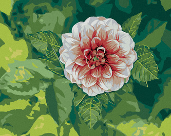 Malování podle čísel - JIŘINA MEZI LISTY - 40x50 cm, bez rámu a bez vypnutí plátna