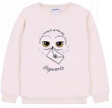 MIKINA HARRY POTTER - velikost 9-10