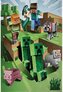 Fleece deka Minecraft: Steeve (130 x 170 cm)