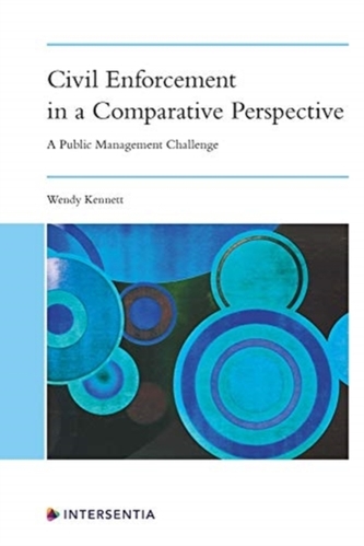 Civil Enforcement in a Comparative Perspective