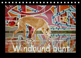 Windhund bunt (Tischkalender 2022 DIN A5 quer)
