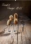 Simple Things 2022 (Wandkalender 2022 DIN A2 hoch)