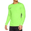 Brankářský dres Nike, Park III | Světle zelená | M