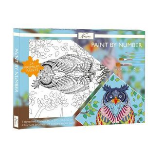 Nassau Malovaní na plátno 40 x 50 cm - Sova