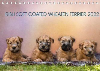IRISH SOFT COATED WHEATEN TERRIER 2022 (Tischkalender 2022 DIN A5 quer)