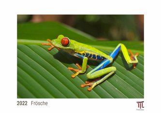 Frösche 2022 - White Edition - Timokrates Kalender, Wandkalender, Bildkalender - DIN A4 (ca. 30 x 21 cm)