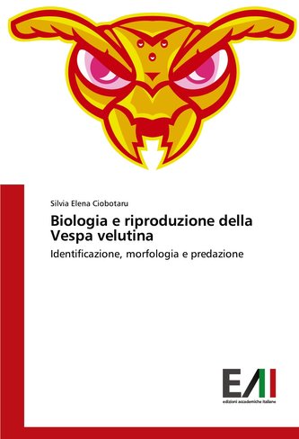 Biologia e riproduzione della Vespa velutina