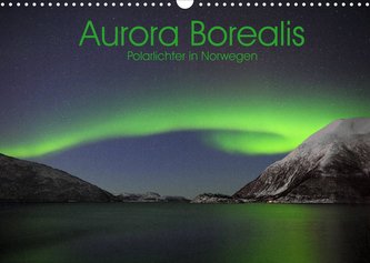 Aurora Borealis: Polarlichter in Norwegen (Wandkalender 2022 DIN A3 quer)
