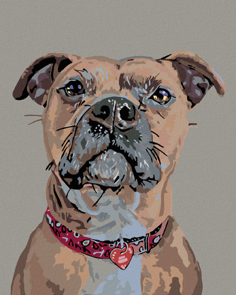Malování podle čísel - PES V POZORU A SRDÍČKOVÝ OBOJEK - 40x50 cm, vypnuté plátno na rám
