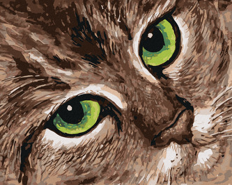 Malování podle čísel - KOČKA A ZELENÉ OČI - 40x50 cm, bez rámu a bez vypnutí plátna