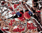 Malování podle čísel - PTÁČCI V JEŘABINÁCH - 80x100 cm, vypnuté plátno na rám