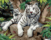 Malování podle čísel - BÍLÝ TYGR S MLÁĎATY NA KAMENI (HOWARD ROBINSON) - 40x50 cm, bez rámu a bez vypnutí plátna