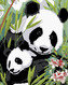 Malování podle čísel - PANDA S MLÁDĚTEM - 80x100 cm, bez rámu a bez vypnutí plátna