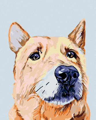 Malování podle čísel - SMUTNÝ PES - 40x50 cm, vypnuté plátno na rám