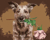 Malování podle čísel - VLČÁK S RŮŽÍ - 40x50 cm, vypnuté plátno na rám