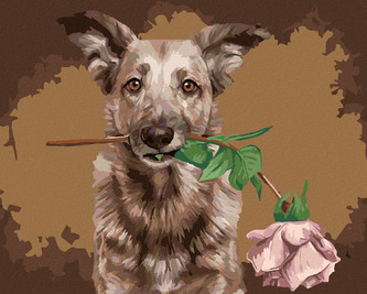 Malování podle čísel - VLČÁK S RŮŽÍ - 40x50 cm, vypnuté plátno na rám