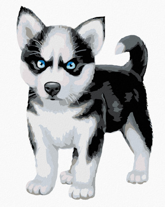 Malování podle čísel - MODROOKÝ HUSKY - 40x50 cm, bez rámu a bez vypnutí plátna