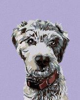 Malování podle čísel - CHLUPÁČ S ČERVENÝM OBOJKEM - 80x100 cm, bez rámu a bez vypnutí plátna