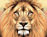 Malování podle čísel - LVÍ POHLED - 80x100 cm, vypnuté plátno na rám