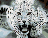 Malování podle čísel - ČERNOBÍLÝ LEOPARD - 40x50 cm, vypnuté plátno na rám