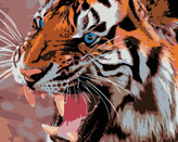 Malování podle čísel - MODRÉ TYGŘÍ OČI - 80x100 cm, vypnuté plátno na rám