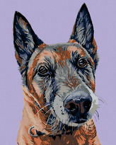 Malování podle čísel - STARÝ VLČÁK - 40x50 cm, vypnuté plátno na rám