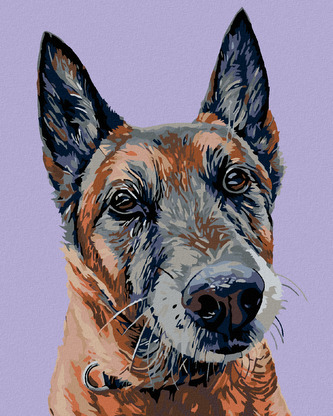 Malování podle čísel - STARÝ VLČÁK - 40x50 cm, vypnuté plátno na rám Malování podle čísel - STARÝ VLČÁK - 40x50 cm, vypnuté plátno na rám