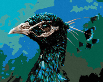 Malování podle čísel - PAVÍ PROFIL - 40x50 cm, vypnuté plátno na rám