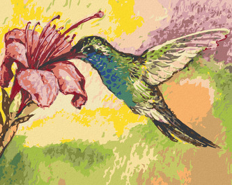 Malování podle čísel - KOLIBŘÍK A RŮŽOVÁ KVĚTINA - 40x50 cm, bez rámu a bez vypnutí plátna
