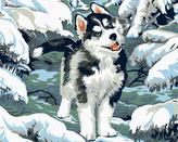 Malování podle čísel - MALÝ HUSKY - 80x100 cm, vypnuté plátno na rám