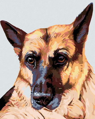 Malování podle čísel - VLČÁK - 40x50 cm, vypnuté plátno na rám