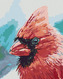 Malování podle čísel - PTÁK KARDINÁL - 80x100 cm, vypnuté plátno na rám