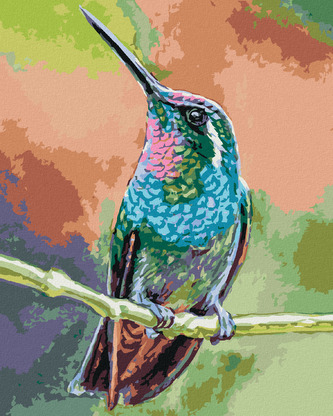 Malování podle čísel - KOLIBŘÍK NA VĚTVI - 40x50 cm, vypnuté plátno na rám