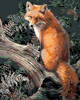 Malování podle čísel - LIŠKA - 40x50 cm, vypnuté plátno na rám