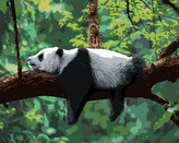 Malování podle čísel - PANDA LEŽÍCÍ NA STROMĚ - 40x50 cm, vypnuté plátno na rám
