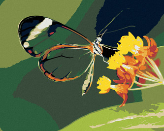 Malování podle čísel - MOTÝL A KVĚTINY - 80x100 cm, bez rámu a bez vypnutí plátna