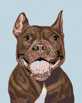 Malování podle čísel - PITBULL - 40x50 cm, bez rámu a bez vypnutí plátna