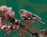 Malování podle čísel - KVETOUCÍ SAKURA A RŮŽOVÝ PTÁČEK - 80x100 cm, bez rámu a bez vypnutí plátna