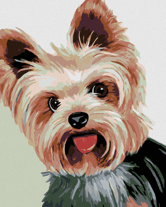 Malování podle čísel - JORKŠÍREK II - 40x50 cm, bez rámu a bez vypnutí plátna Malování podle čísel - JORKŠÍREK II - 40x50 cm, bez rámu a bez vypnutí plátna