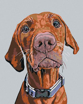 Malování podle čísel - RIDGEBACK S MODRÝM OBOJKEM - 40x50 cm, bez rámu a bez vypnutí plátna
